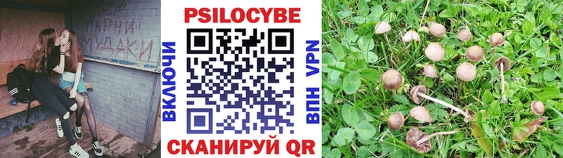 Галлюциногенные грибы Cubensis  Минеральные Воды 